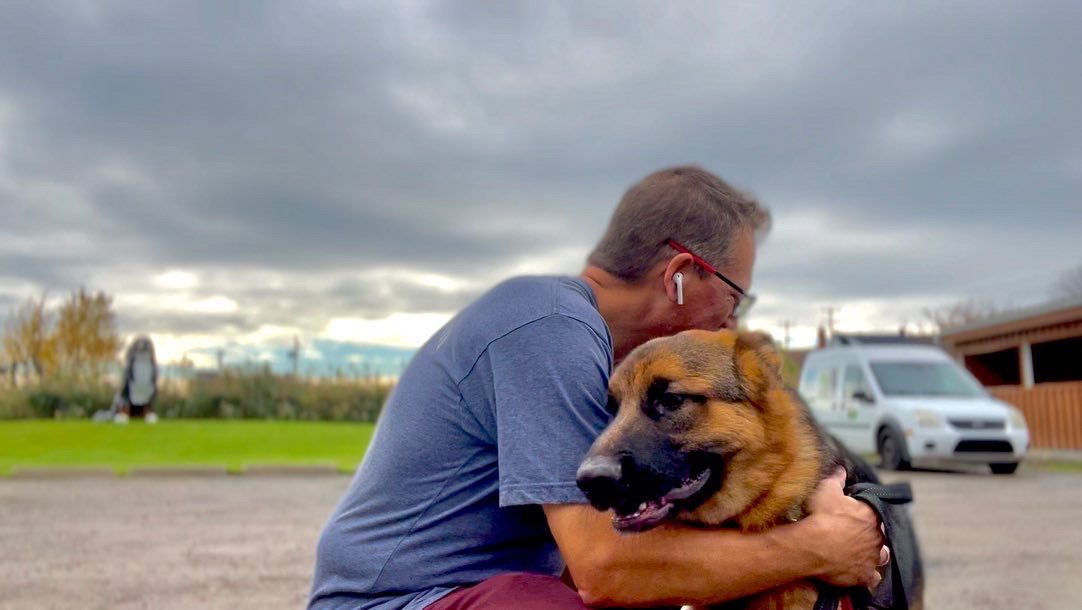 Dog Trainer Montreal Dog Training Montreal Dog Trainer & Dog Training