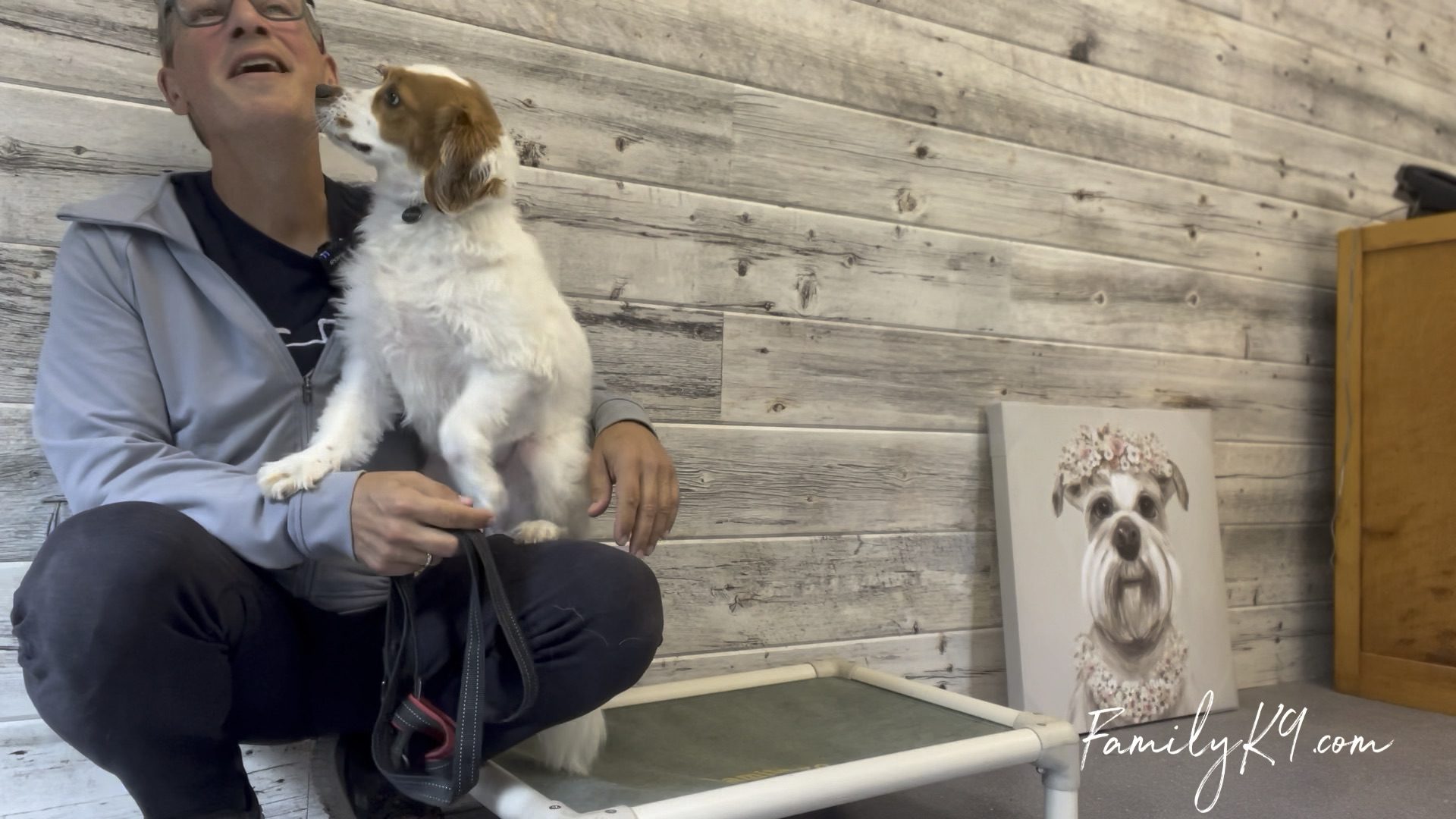 Dog trainers in montreal obedience