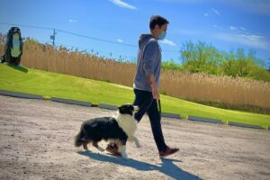 reactive dog training