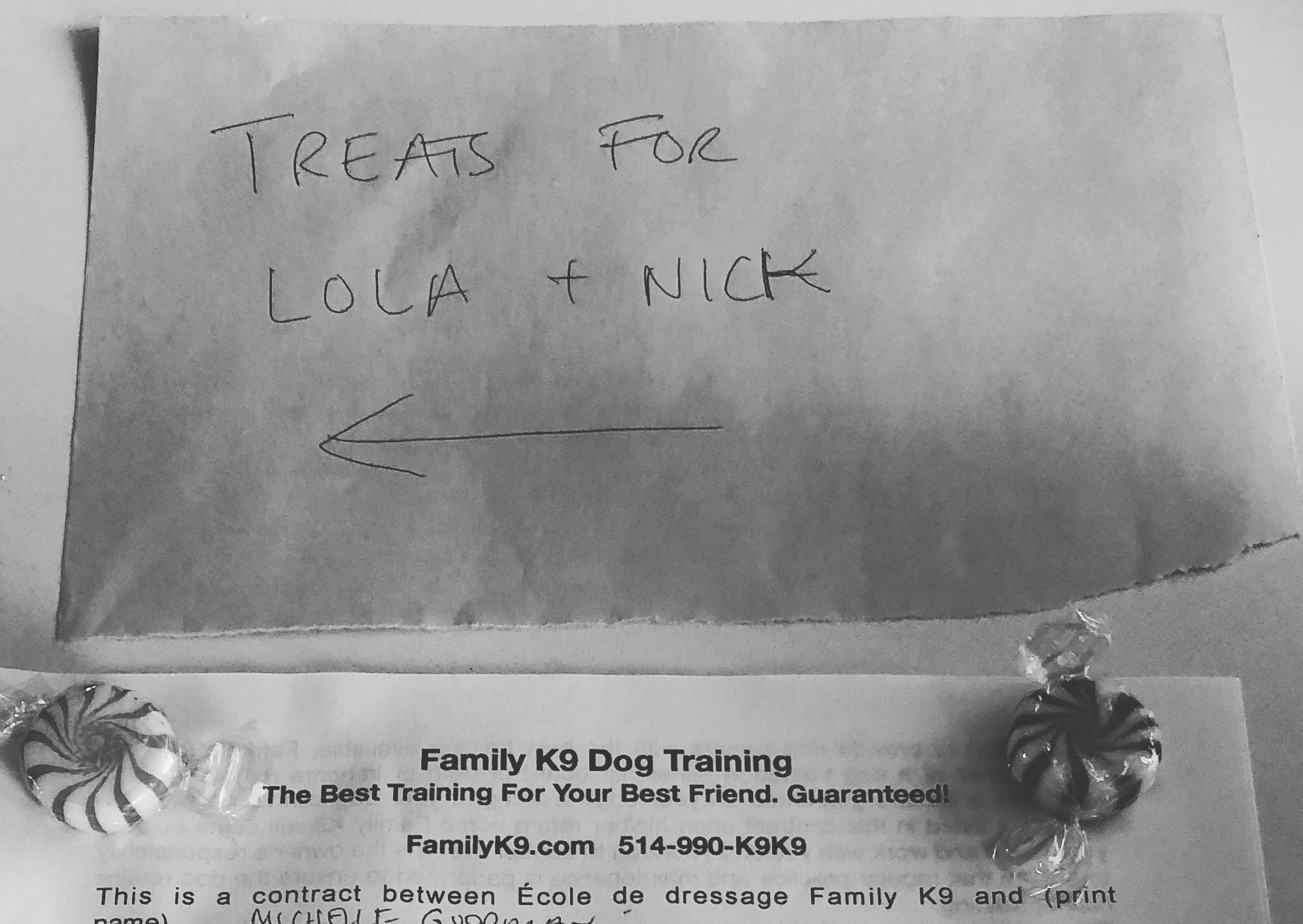 Rewards and treats for puppies and humans