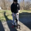 Timid Dogs Nick was great with my little bulldog Sadie. He worked on her manners, confidence and made her into a fun dog to play with. Prior to his training services, she was scared to leave the apartement and didn't listen at all. — Ross Castleton