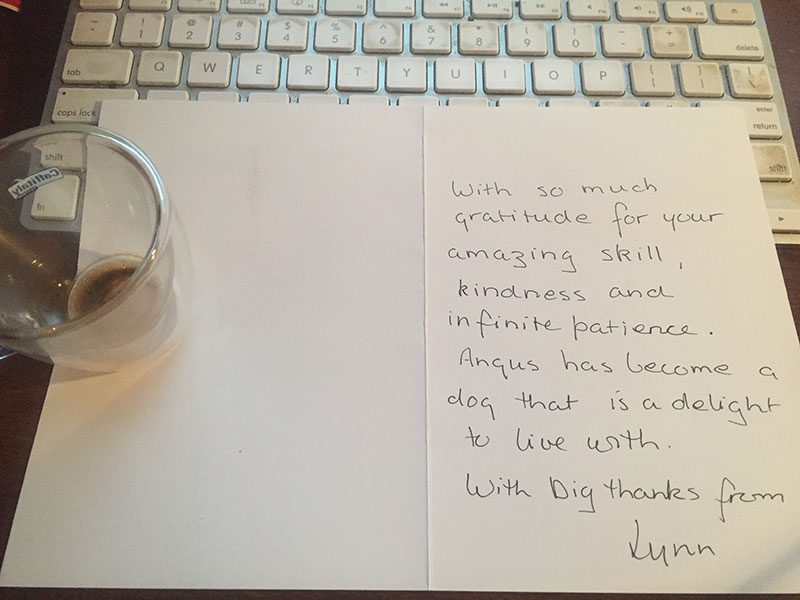 What dog owners are saying A note of thanks is always appreciated. A thoughtful card from Lynn, Angus' owner.