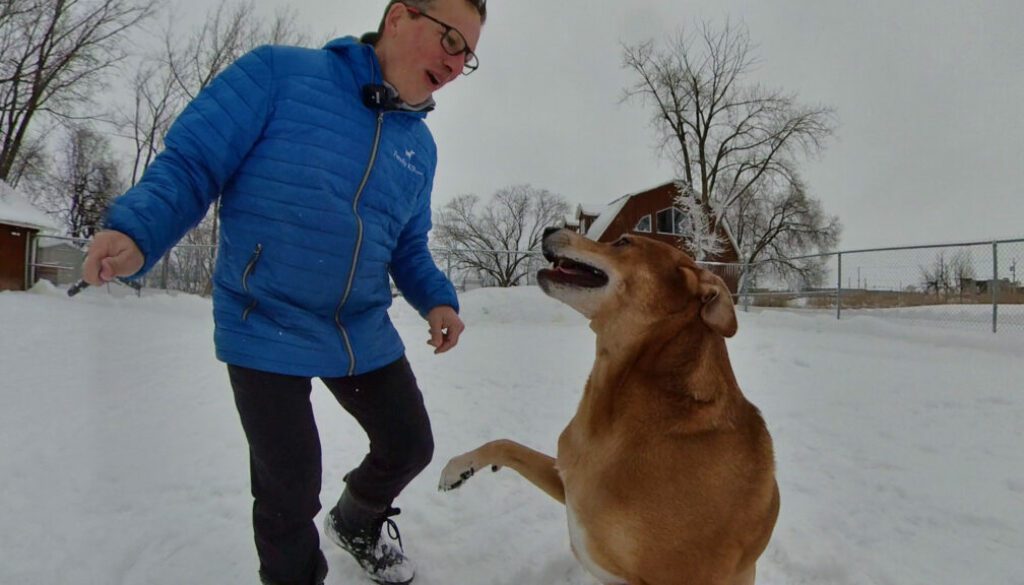 Boarding training in kennel training, Montreal