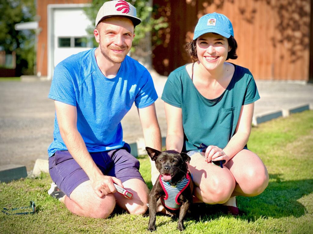 helping dogs recover from trauma, for and anxiety