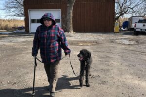 Dog training for owners with physical disabilities