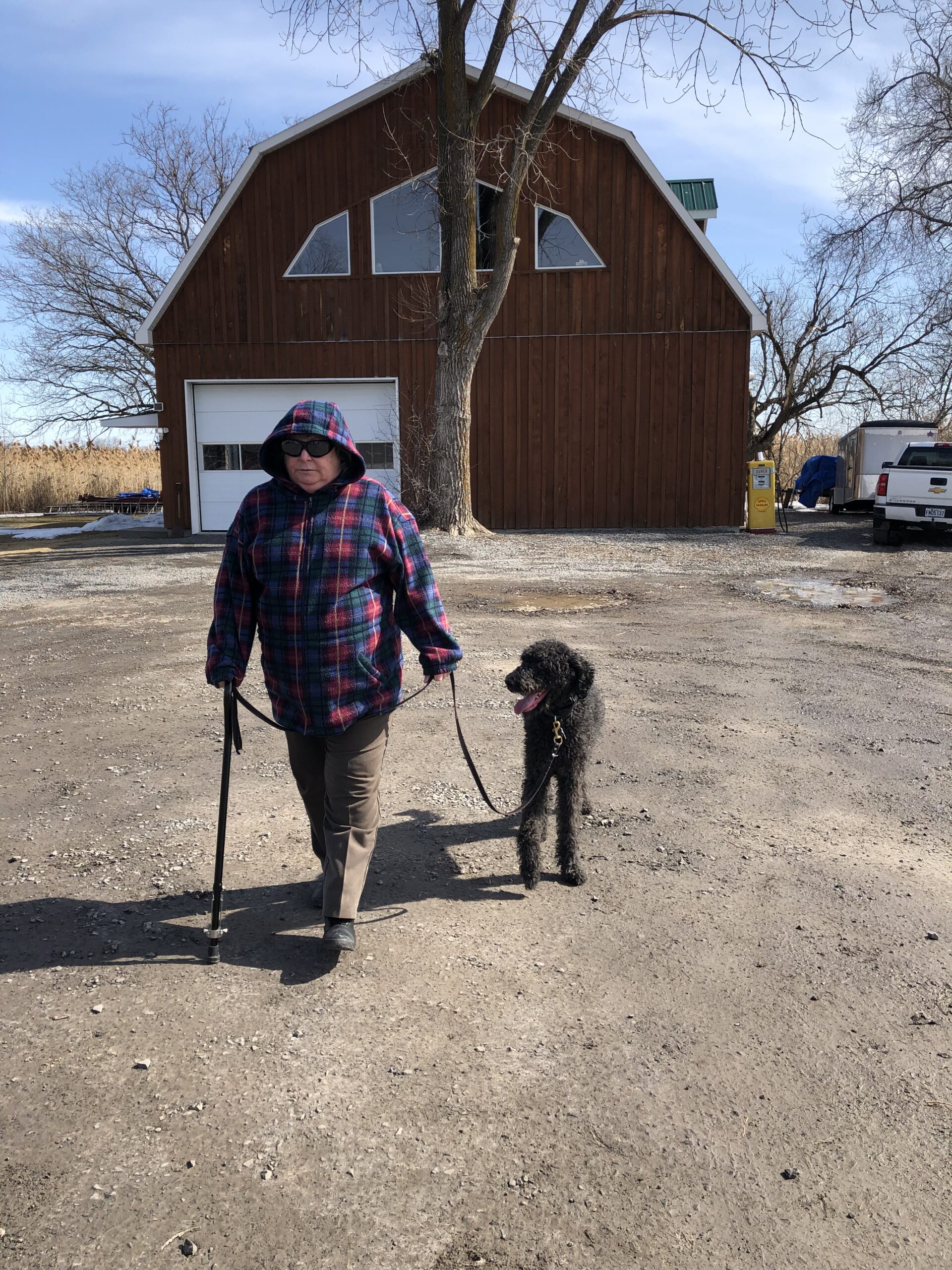 Labradoodle Obedience training Owner with Physical disability needs specialized training Dog Trainer Lachute Qc