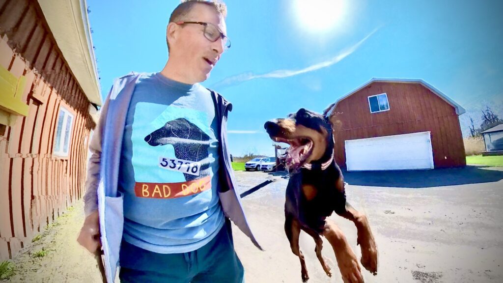 reactive dog training doberman learning to focus montreal board train reactive dog