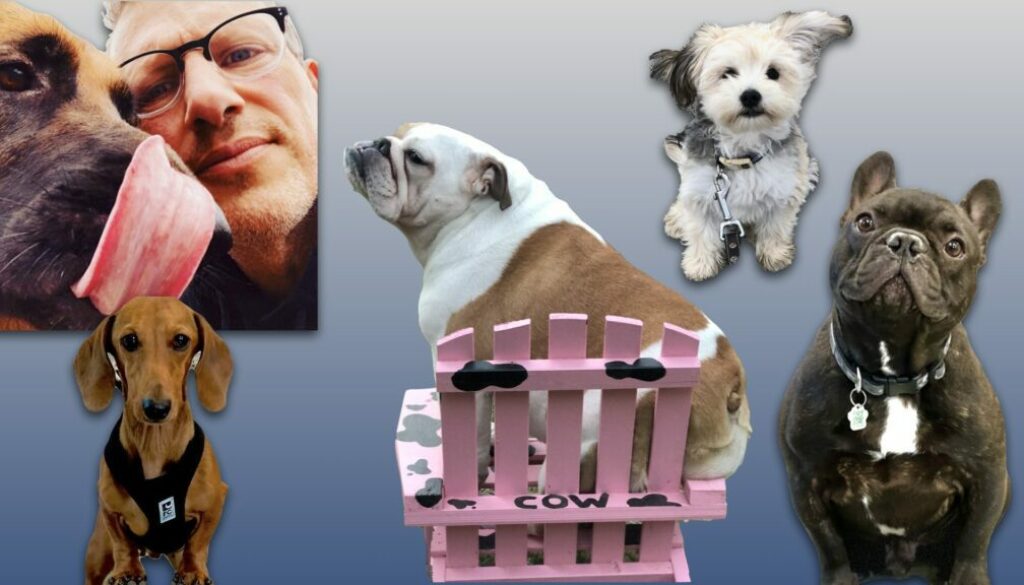 in kennel training montreal dog trainer