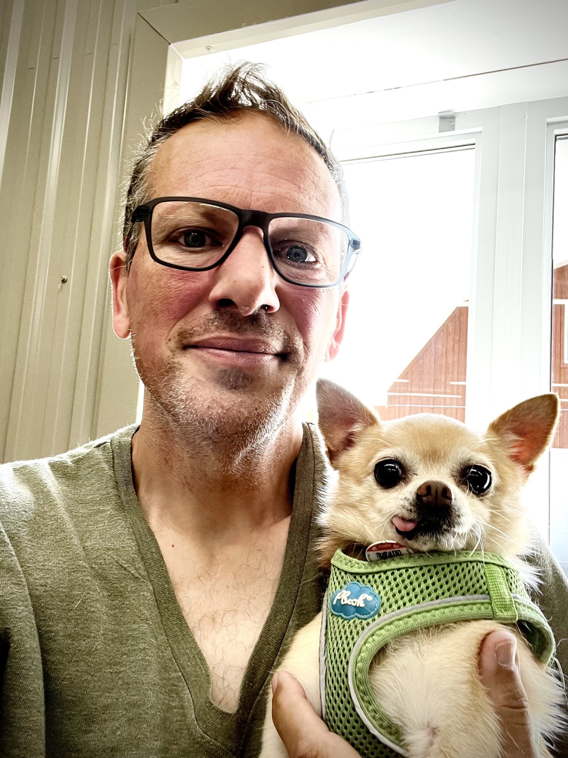 Harper a fear reactive Chihuahua trained by Nick Zevgolis of Family K9 Dog Training. harper was trained by Nick @ the age of 12. Yes, 12 years old and she and her owners are enjoying a better quality of life.  Go Harper!