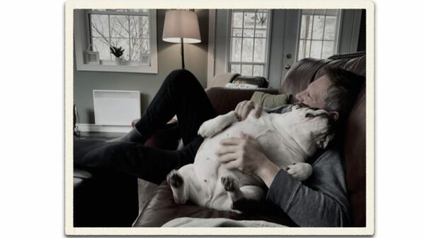 montreal top rated dog trainer and his English bulldog