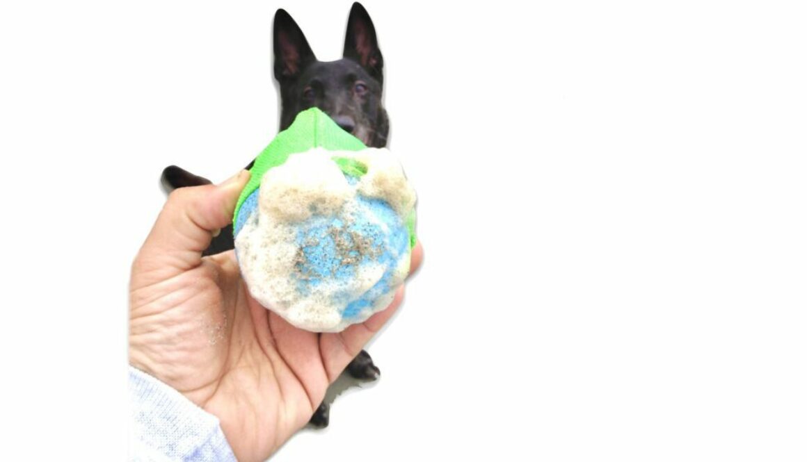 Dog fetch training ball