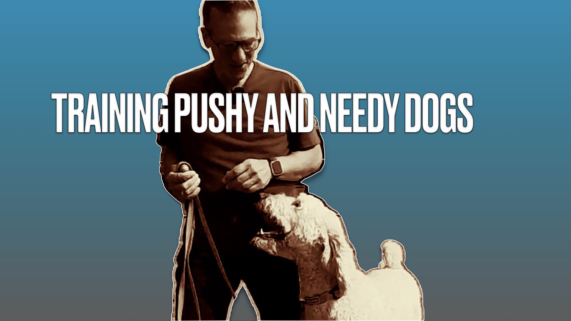 How to train a pushy and needy dog