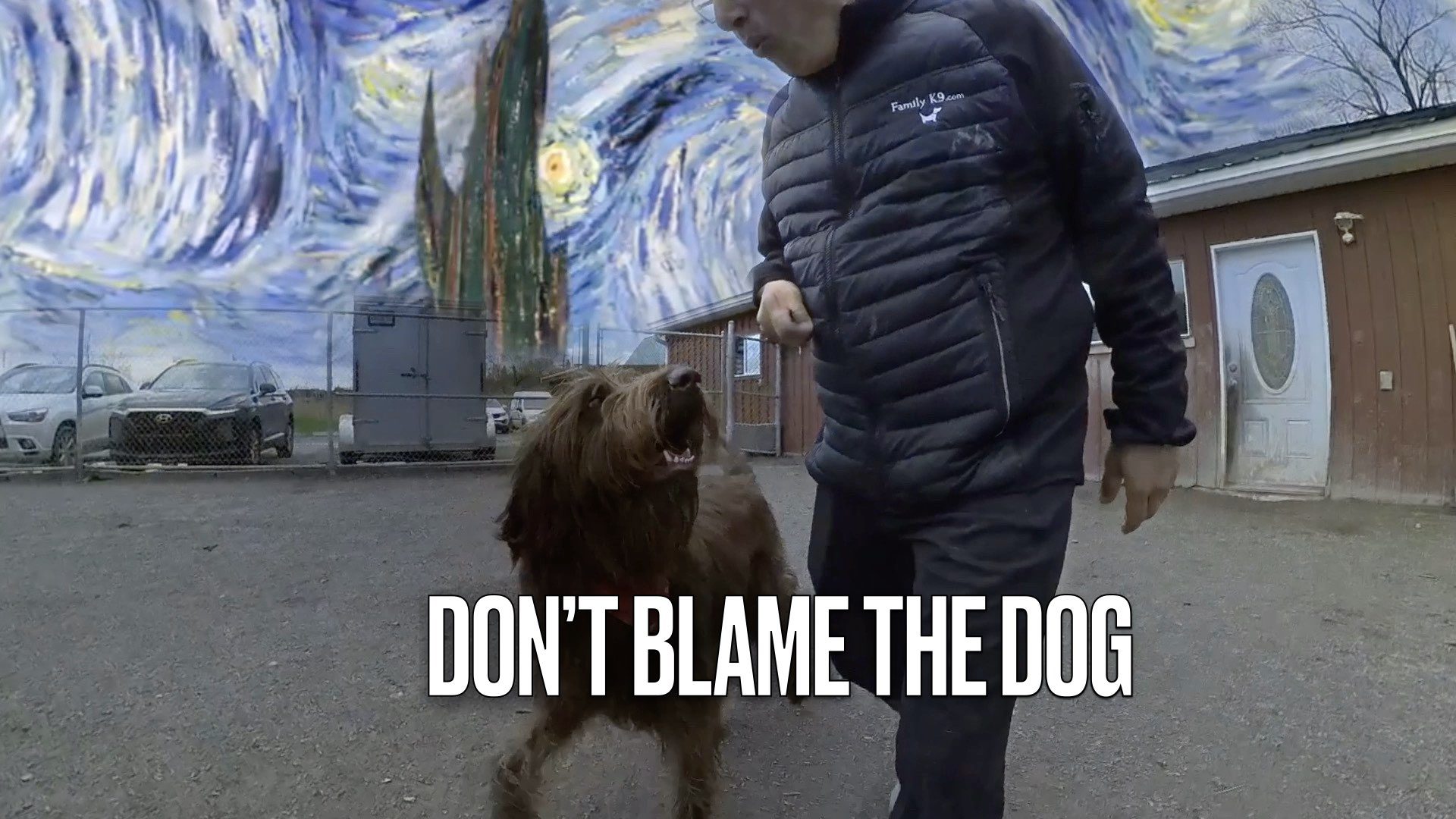 Dog trainer failed this dog and his owners and called the dog dumb