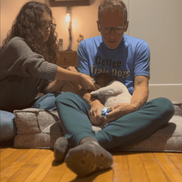 teaching a puppy to allow nail trimming and handling