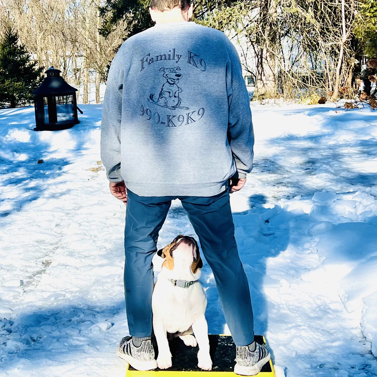 Dog Trainer Montreal with Well trained puppy bulldog