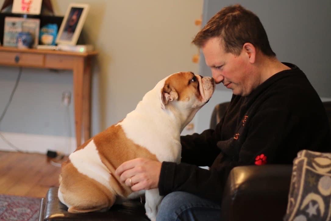 Dog training montreal vaudreuil Quebec Canada