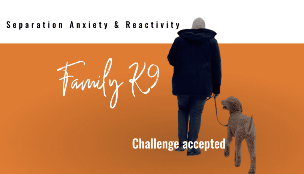 Separation Anxiety Dog Training