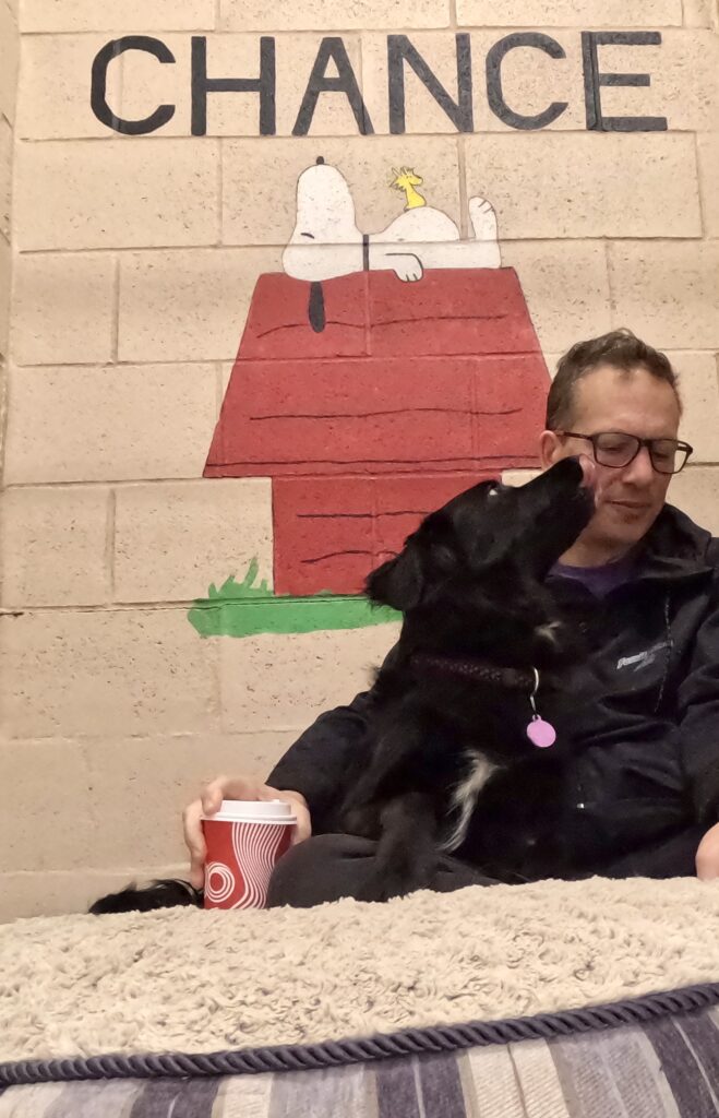 dog training rescue and reactive dogs rehabilitation