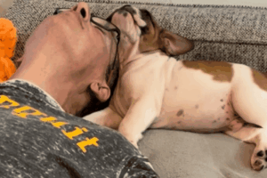 Baby puppy and dog trainer bonding and taking a nap together