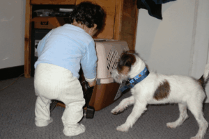 Dog and baby getting into mischief together